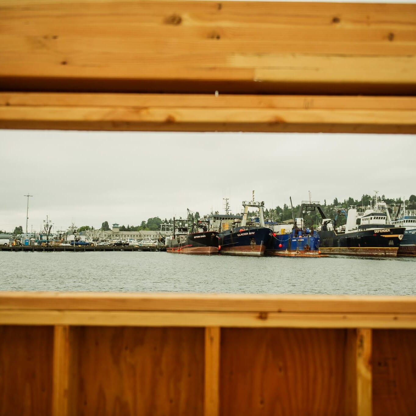 A picturesque view of a harbor from a beautifully crafted wooden building, brought to you by Seattle Floating Homes - the leading floating home builder and contractor.